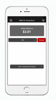 Rockaloo软件 全新v1.1版本下载指南与手机软件应用体验